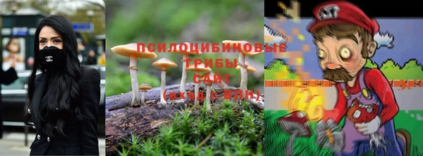 ешки Майский