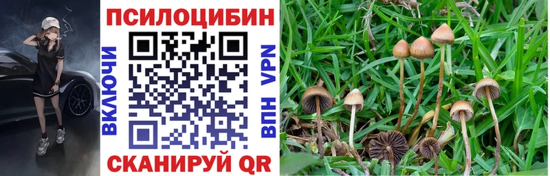 Псилоцибиновые грибы Psilocybe  mega ссылки  Красково  дарнет шоп 