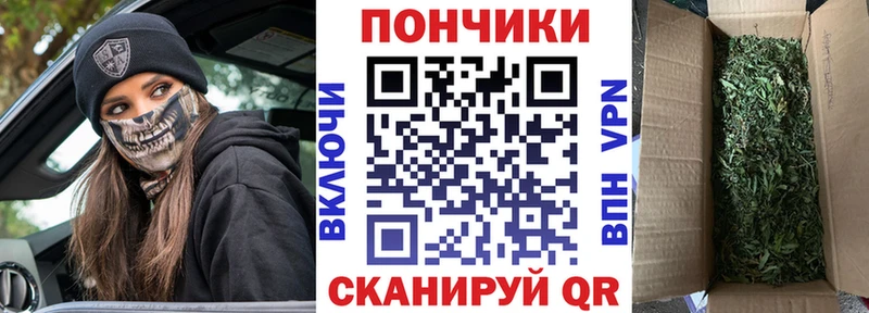 Шишки марихуана план  что такое наркотик  Красково 